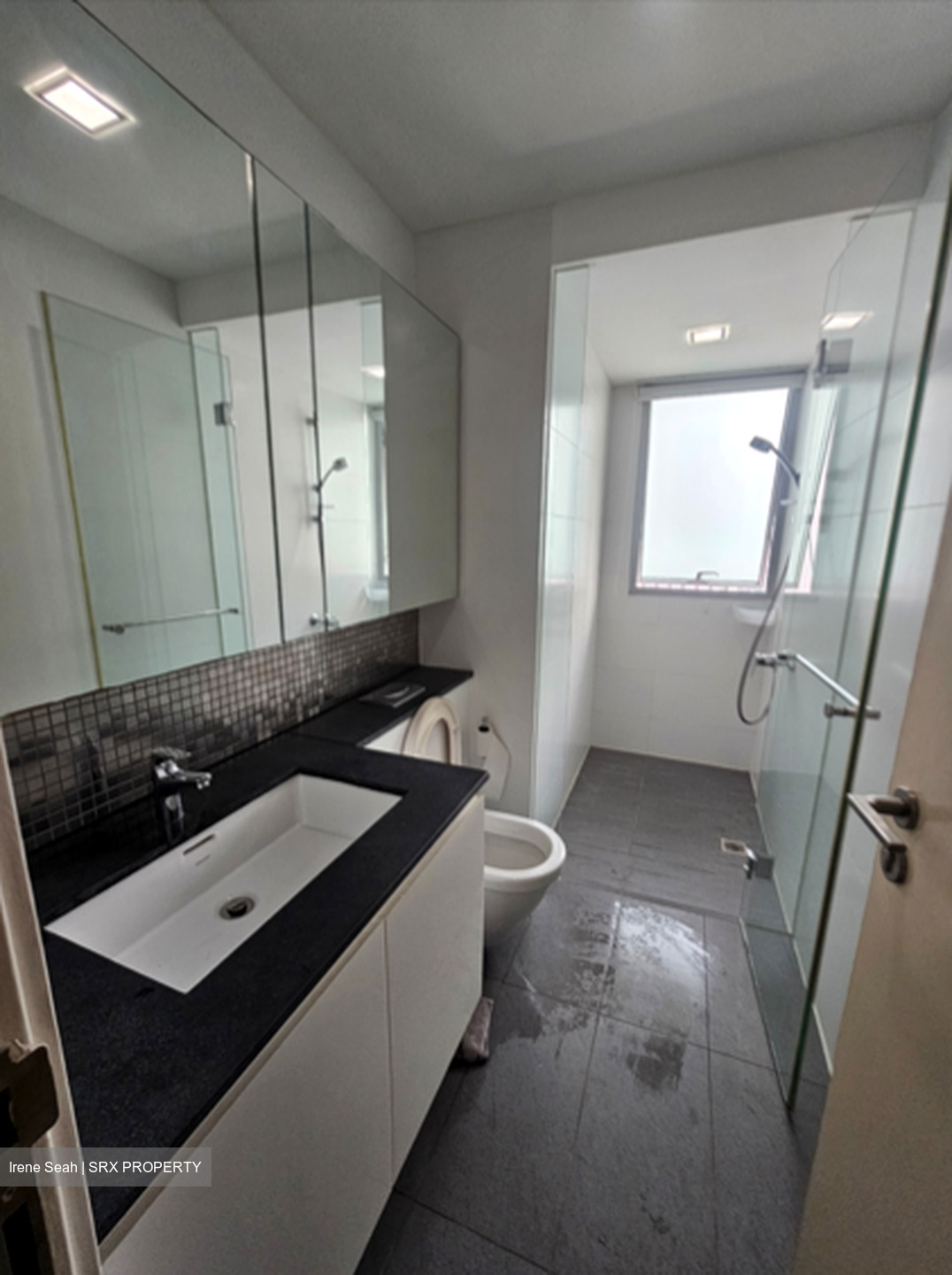 The Minton (D19), Condominium #443790411